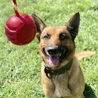 USA-K9 Stars and Stripes Ultra-Durable Rubber Chew Ball