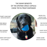 SN Space Capsule Durable Rubber Chew Toy & Treat Dispenser