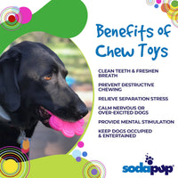 SP Paw Print Ultra Durable Nylon Dog Chew Toy for Aggressive Chewers
