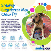 SP Gingerbread Man Ultra Durable Nylon Dog Chew Toy for Aggressive Chewers
