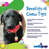 SP Cherry Pie Ultra Durable Nylon Dog Chew Toy and Treat Holder for Aggressive Chewers
