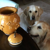 Carmel Ceramica Dog Food/Water Bowl