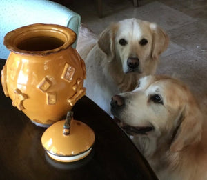 Carmel Ceramica Dog Food/Water Bowl