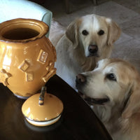 Dog Treat Jar