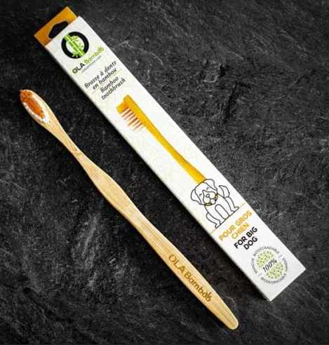 Bamboo Toothbrush for Pet - (Pack of 6)