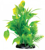 Underwater Treasures Spade Fern - 8.5"
