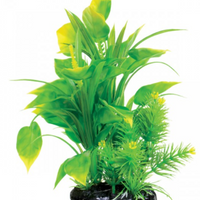 Underwater Treasures Spade Fern - 8.5"