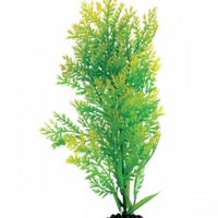 Underwater Treasures Water Violet