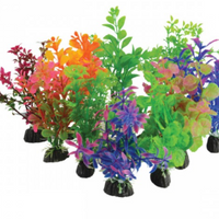 Underwater Treasures Plant on Rock Mixed - 10 pk