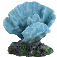 Underwater Treasures Acro Coral