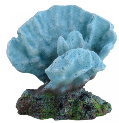 Underwater Treasures Acro Coral