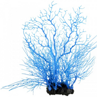 Underwater Treasures Sea Fan Coral