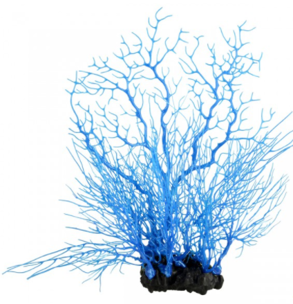 Underwater Treasures Sea Fan Coral