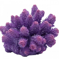 Underwater Treasures Cauliflower Coral