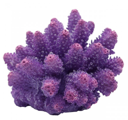 Underwater Treasures Cauliflower Coral