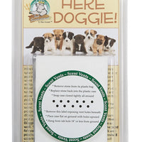 Just Scentsational Here Doggie! Indoor Dog Training Stone