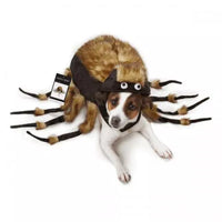 ZZ Fuzzy Tarantula Costume
