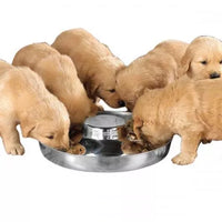 ProSelect Puppy Dish 11In
