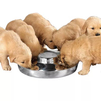 PS Puppy Dish 14.5In
