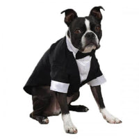 East Side Coll Yappily Ever After Groom Tux
