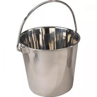 ProSelect Heavy Duty SS Pail 6Qt
