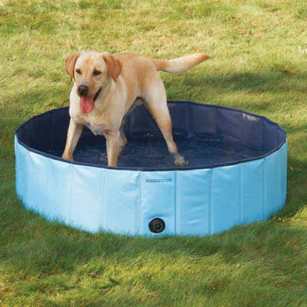 Cool Pup Splash About Dog Pool