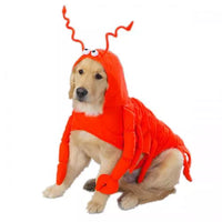 Casual Canine Lobster Paws Costume
