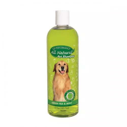 Top Performance Green Tea & Mint Shampoo 17oz