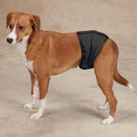 Clean Go Pet Washable Male Wrap
