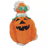 Zack & Zoey Pumpkin Pooch Costume
