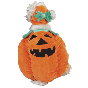 Zack & Zoey Pumpkin Pooch Costume