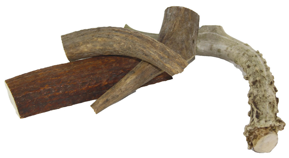 Deer Antler - 6 oz