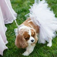 White Bridal Dog Tutu Skirt (XS)