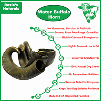 WATER BUFFALO HORN-100% Natural, Long-Lasting, Grain-Free, Gluten-Free, Dog Dental Treats & Chews-2 COUNT-15 oz
