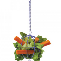 Super Pet Veggie Basket Treat Holder - Assorted