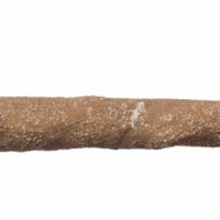 Prevue Hendryx Beach Branch - Medium