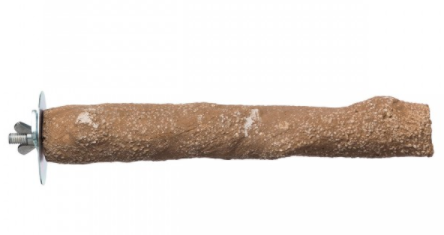 Prevue Hendryx Beach Branch - Medium