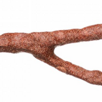 Prevue Hendryx Cosmic Crunch Bird Perch - Small - 6"