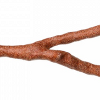 Prevue Hendryx Cosmic Crunch Bird Perch - Medium - 10"