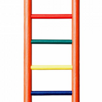 Prevue Hendryx 6-rung Wood Bird Ladder - Multi-color