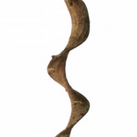 Prevue Hendryx Vertical Bird Perch - 14"