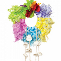 Prevue Hendryx Calypso Creations Ropes & Shell Ring - Multi-color