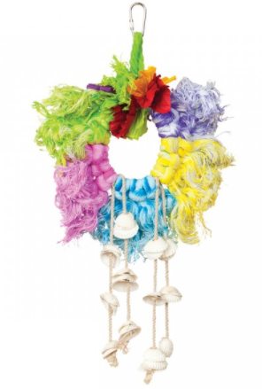 Prevue Hendryx Calypso Creations Ropes & Shell Ring - Multi-color