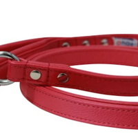 Leather Padded Handle Leash (Alpine) by Angel 72" X 3/4" , Goldfish Orange