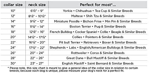 Leather Padded Handle Leash (Alpine) by Angel 72