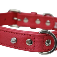 Rotterdam Bones Dog Collar by Angel 14" X 3/4" , Chocolate Brown