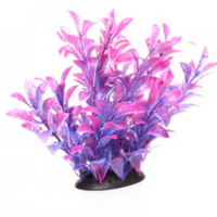 Underwater Treasures Magenta Ludwigia - 6.5"