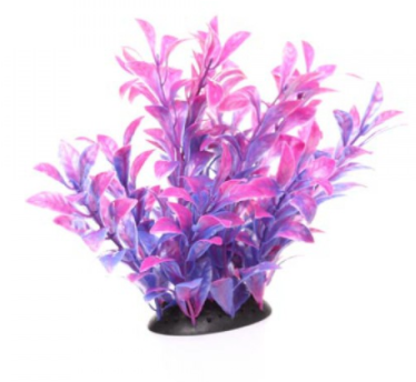 Underwater Treasures Magenta Ludwigia - 6.5