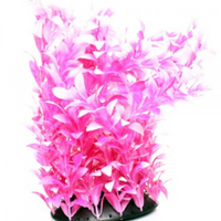 Underwater Treasures White Tipped Ludwigia - 12"