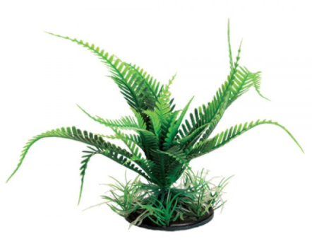 Underwater Treasures Weeping Fern - Green - 6